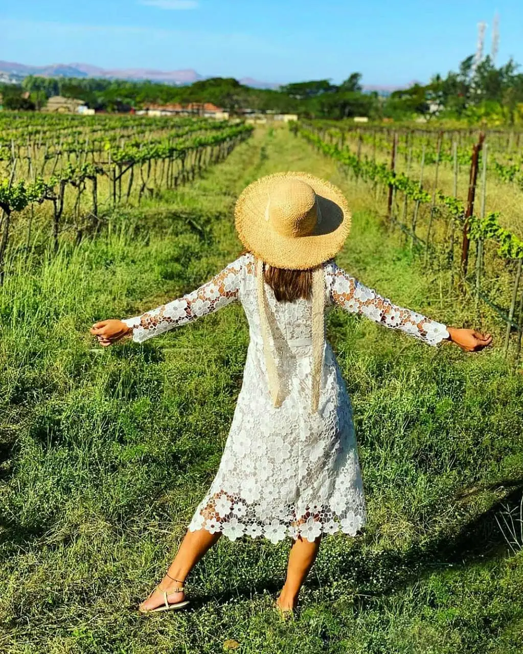 Visit sula vineyards